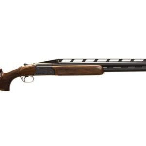 rizzini br110 ips